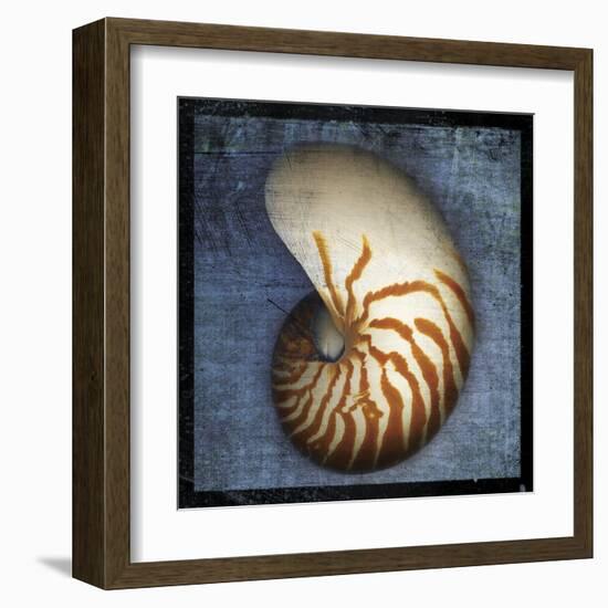 Nautilus-John Golden-Framed Art Print