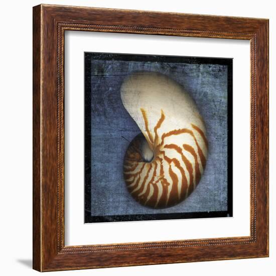 Nautilus-John Golden-Framed Art Print