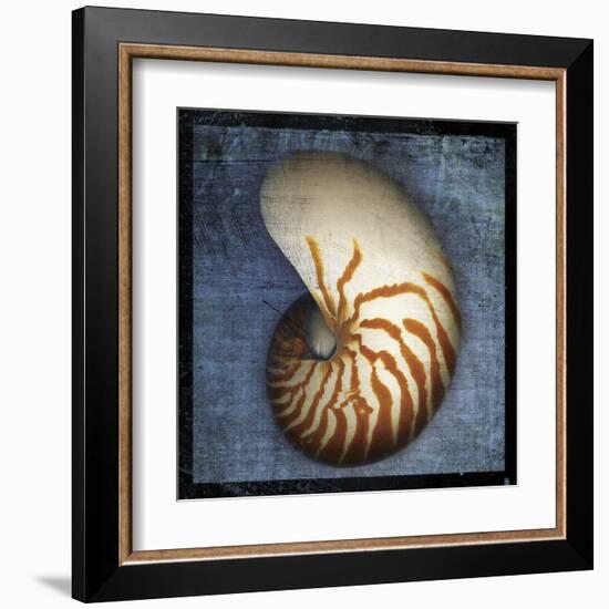 Nautilus-John Golden-Framed Art Print