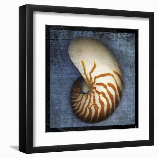 Nautilus-John Golden-Framed Art Print