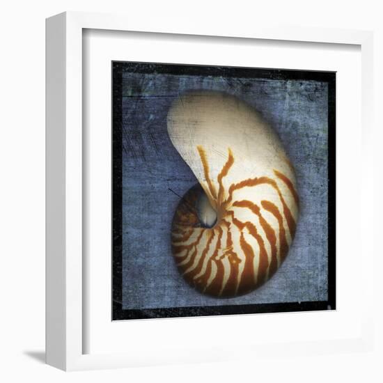 Nautilus-John Golden-Framed Art Print