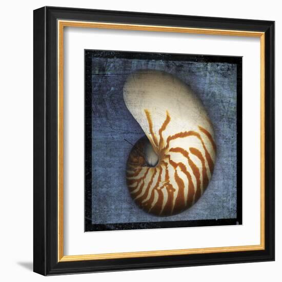 Nautilus-John Golden-Framed Art Print