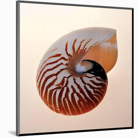 Nautilus-Tom Artin-Mounted Art Print