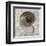 Nautilus-Ted Broome-Framed Art Print