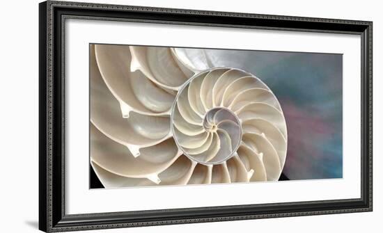 Nautilus-Andrew Levine-Framed Giclee Print