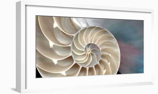 Nautilus-Andrew Levine-Framed Giclee Print