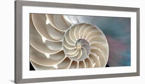 Nautilus-Andrew Levine-Framed Art Print