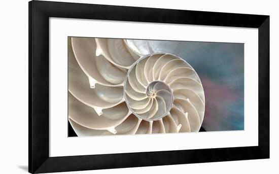 Nautilus-Andrew Levine-Framed Art Print