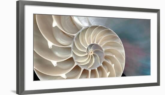 Nautilus-Andrew Levine-Framed Art Print