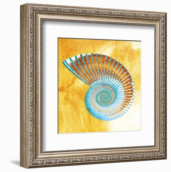 Nautilus-null-Framed Art Print