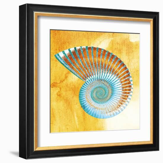 Nautilus-null-Framed Art Print