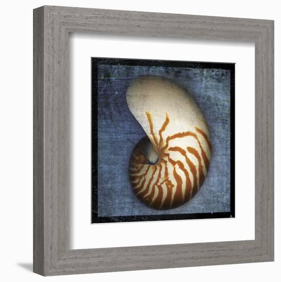 Nautilus-John W^ Golden-Framed Art Print