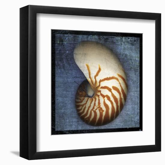 Nautilus-John W^ Golden-Framed Art Print