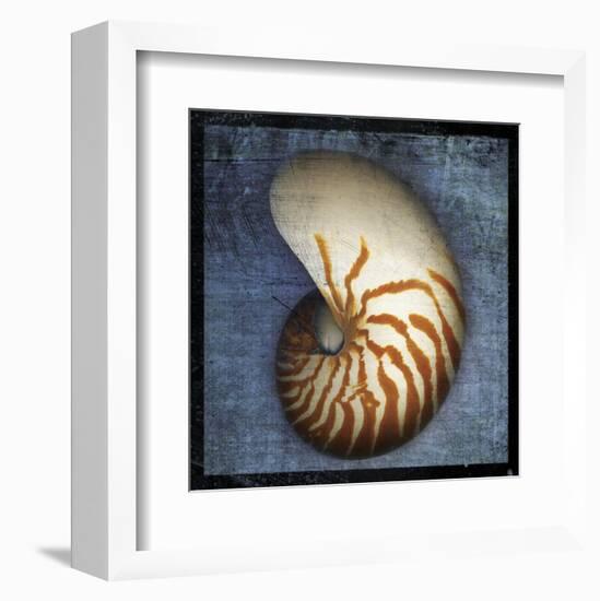 Nautilus-John W^ Golden-Framed Art Print