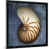 Nautilus-John W^ Golden-Mounted Art Print