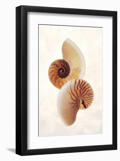Nautilus-Glen and Gayle Wans-Framed Giclee Print