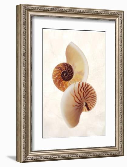 Nautilus-Glen and Gayle Wans-Framed Giclee Print