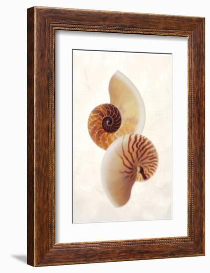 Nautilus-Glen and Gayle Wans-Framed Giclee Print