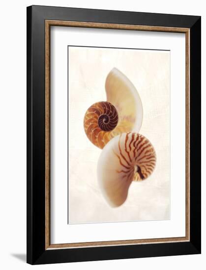 Nautilus-Glen and Gayle Wans-Framed Giclee Print