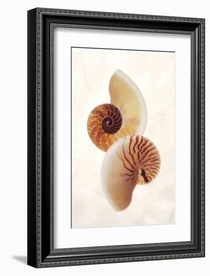 Nautilus-Glen and Gayle Wans-Framed Giclee Print