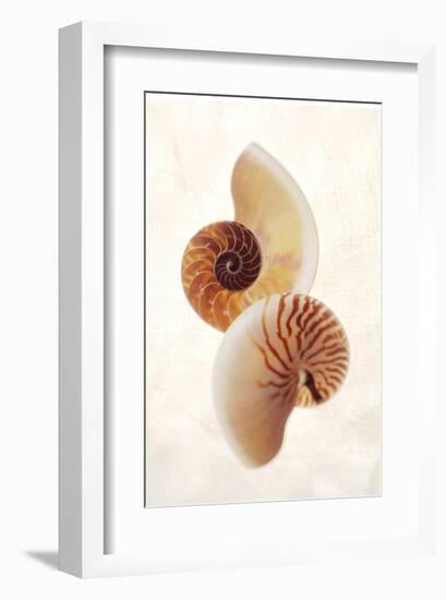 Nautilus-Glen and Gayle Wans-Framed Giclee Print