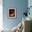 Nautilus-null-Framed Photographic Print displayed on a wall