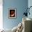 Nautilus-null-Framed Photographic Print displayed on a wall