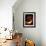 Nautilus-null-Framed Photographic Print displayed on a wall