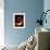 Nautilus-null-Framed Photographic Print displayed on a wall