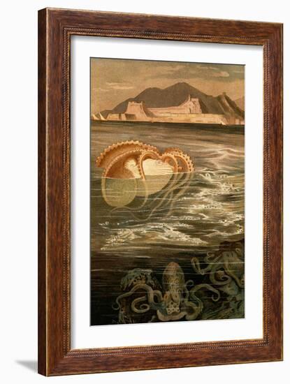 Nautilus-F.W. Kuhnert-Framed Premium Giclee Print