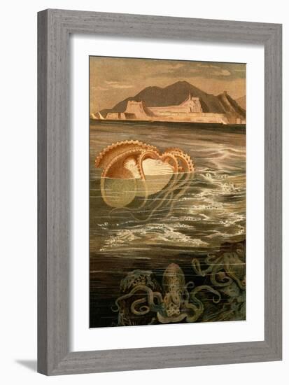 Nautilus-F.W. Kuhnert-Framed Art Print