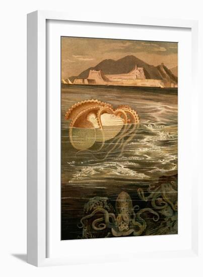 Nautilus-F.W. Kuhnert-Framed Art Print