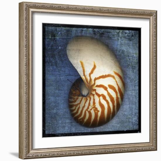 Nautilus-John W Golden-Framed Giclee Print