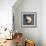 Nautilus-John W Golden-Framed Giclee Print displayed on a wall