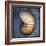 Nautilus-John W Golden-Framed Giclee Print