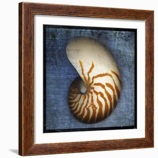 Nautilus-John W Golden-Framed Giclee Print