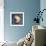 Nautilus-John W Golden-Framed Giclee Print displayed on a wall