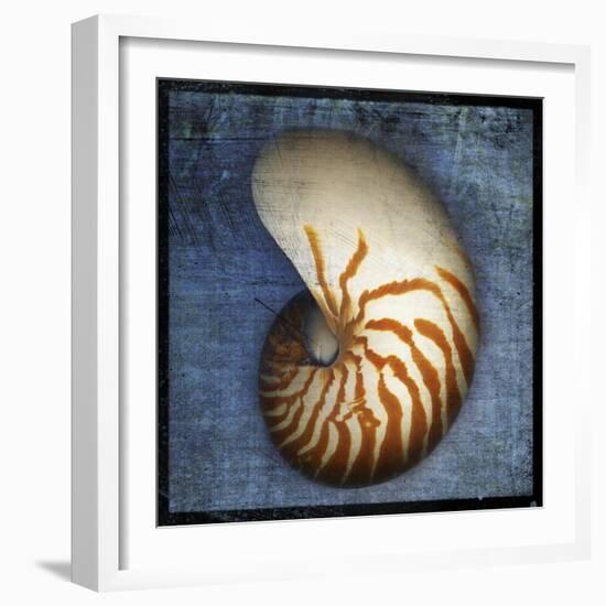 Nautilus-John W Golden-Framed Giclee Print