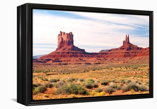 Navajo Country II-Douglas Taylor-Framed Premier Image Canvas