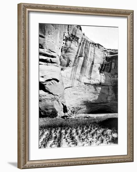 Navajo Farming-Edward S^ Curtis-Framed Giclee Print