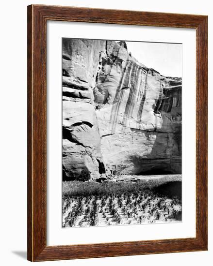 Navajo Farming-Edward S^ Curtis-Framed Giclee Print