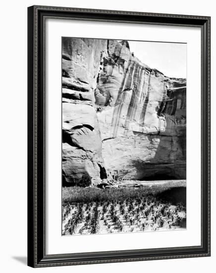 Navajo Farming-Edward S^ Curtis-Framed Giclee Print