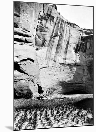 Navajo Farming-Edward S^ Curtis-Mounted Giclee Print