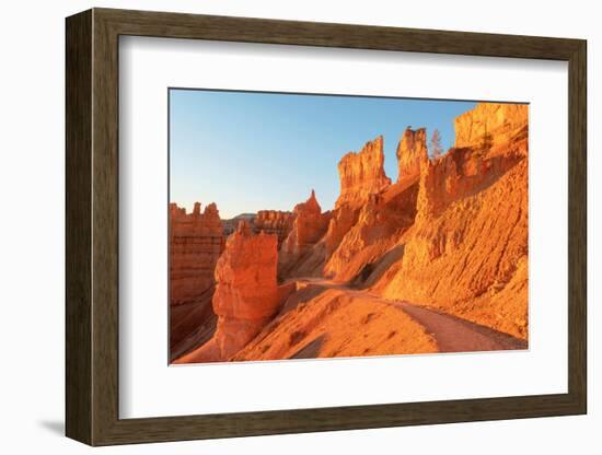 Navajo Loop trail at sunrise. Sunrise Point, Bryce Canyon National Park,, Utah-Alan Majchrowicz-Framed Photographic Print