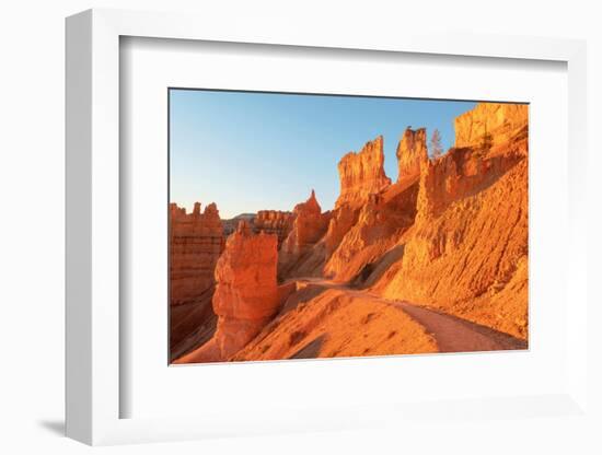 Navajo Loop trail at sunrise. Sunrise Point, Bryce Canyon National Park,, Utah-Alan Majchrowicz-Framed Photographic Print