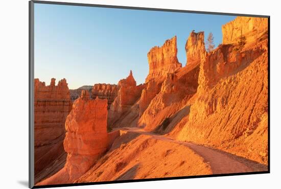 Navajo Loop trail at sunrise. Sunrise Point, Bryce Canyon National Park,, Utah-Alan Majchrowicz-Mounted Photographic Print