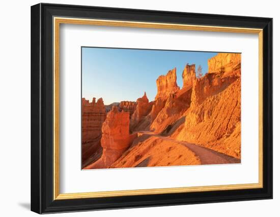 Navajo Loop trail at sunrise. Sunrise Point, Bryce Canyon National Park,, Utah-Alan Majchrowicz-Framed Photographic Print