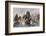 Naval Battle 1782-Charles Dixon-Framed Photographic Print