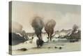 Stretched Canvas Print