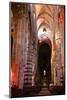 Nave and Columns, Haute Loire-Guy Thouvenin-Mounted Photographic Print